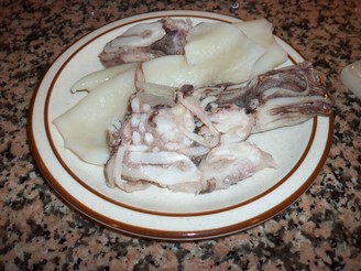 [Squid]