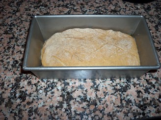 [Dough in  a pan]